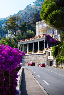 Sanat provence yolda