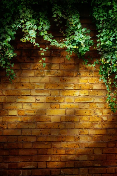 Árvore de arte em vaso com fundo de parede de tijolo — Fotografia de Stock