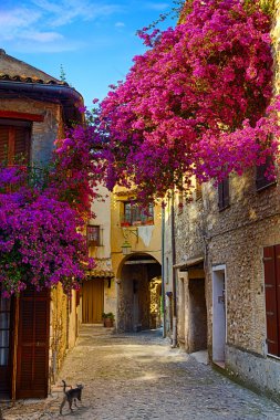 Sanat güzel eski kasaba provence