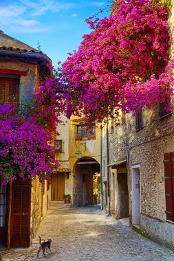 art beautiful old town of Provence clipart