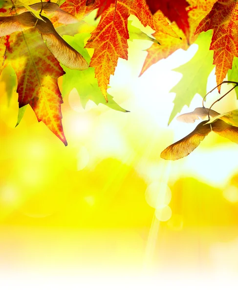 Art abstract autumn background — Stock Photo, Image