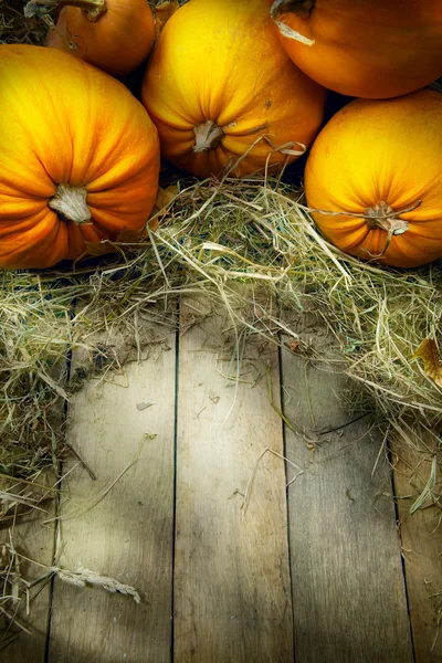 Kunst thanksgiving pompoenen herfst achtergrond — Stockfoto