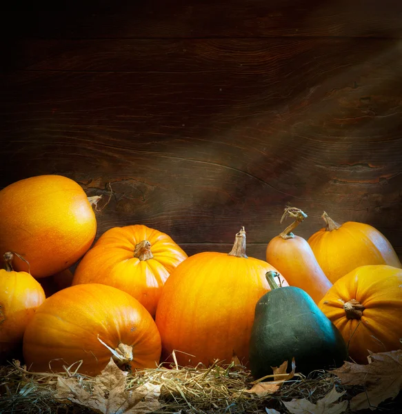 Kunst herfst pompoen thanksgiving achtergrond — Stockfoto