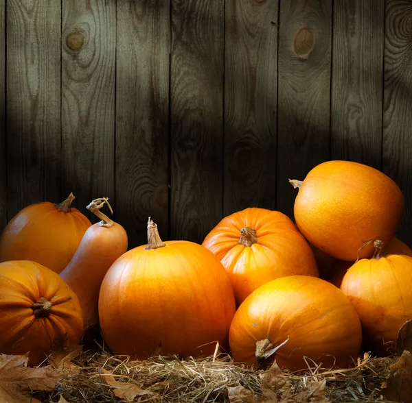 Arte otoño Calabaza acción de gracias fondos — Foto de Stock