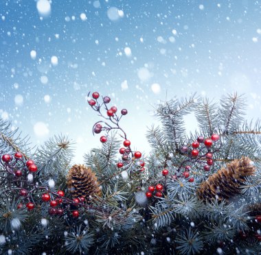 Noel ağacı arka planı