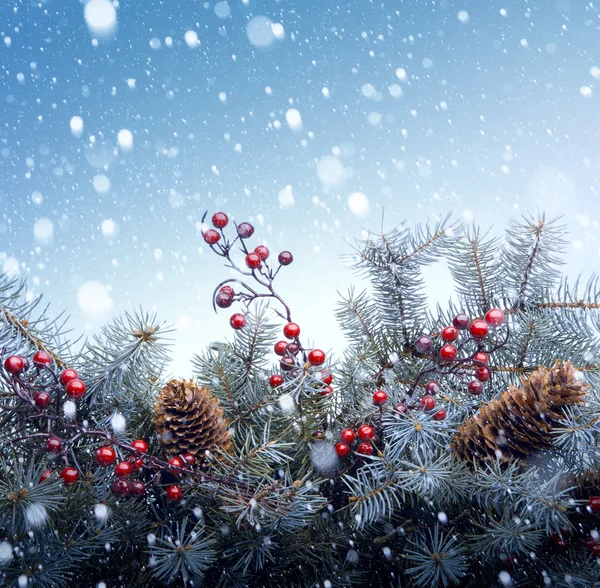 Christmas tree background — Stock Photo, Image