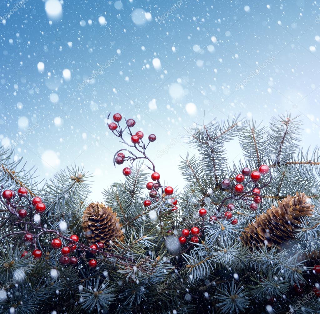 Download Christmas tree background ⬇ Stock Photo, Image by ...