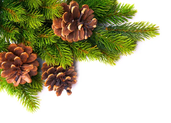 Sanat Noel ağacı çerçeve — Stok fotoğraf