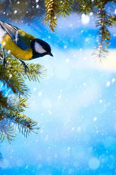 Τέχνη Χριστουγεννιάτικη κάρτα με βυζιά στο χριστουγεννιάτικο δέντρο και χιόνι — Φωτογραφία Αρχείου