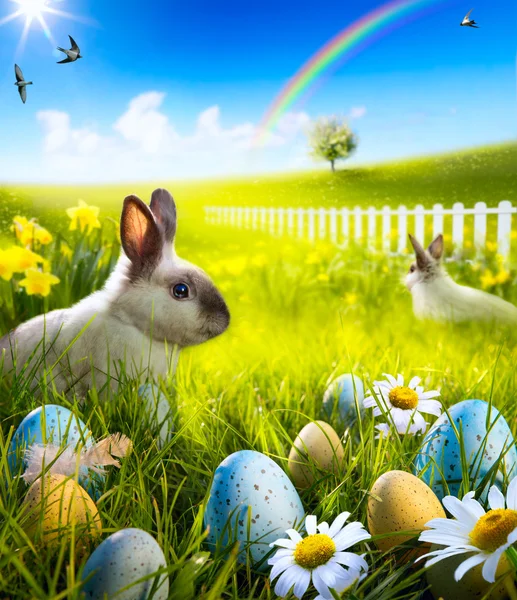 Art easter bunny konijnen en Pasen eieren op weide. — Stockfoto