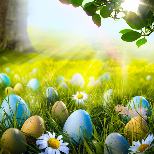 Arte decorados ovos de páscoa na grama com margaridas — Fotografia de Stock