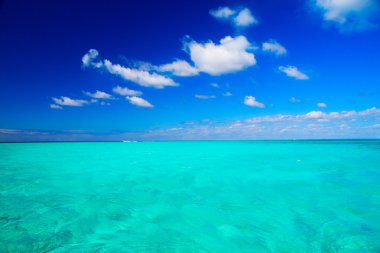 soyut güzel bir plaj ve tropik deniz 