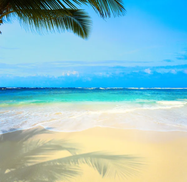 Art  beautiful untouched tropical sea beach — Stock Photo, Image