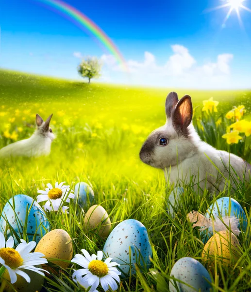 Art Easter bunny rabbit and easter eggs on meadow. — Stock Photo, Image