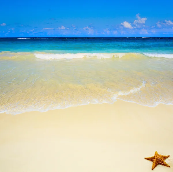 アート美しい手つかずの熱帯の海のビーチ ストック写真