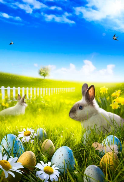 Arte Coelho de Páscoa coelho e ovos de Páscoa no prado . — Fotografia de Stock