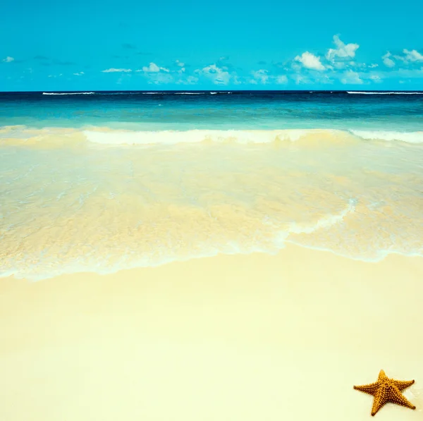 Arte hermosa playa de mar tropical virgen — Foto de Stock