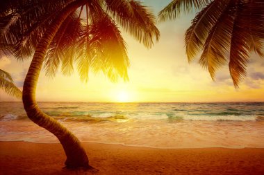 Sanat güzel gündoğumu tropikal plaj üzerinde