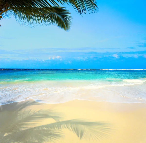 Konst vacker orörd tropisk strand — Stockfoto