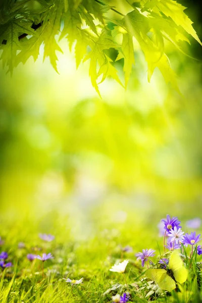 Arte primavera paisagem fundo — Fotografia de Stock