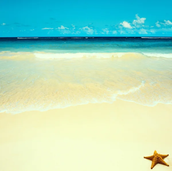 Art  beautiful untouched tropical sea beach — Stock Photo, Image