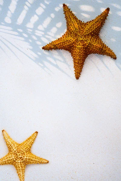 Kunst mooie zomerse vakantie tropische zee achtergrond — Stockfoto