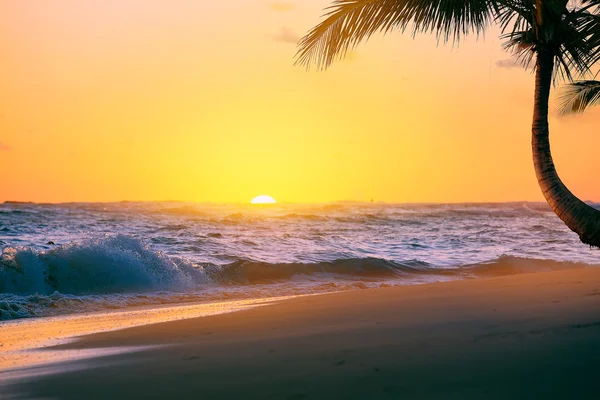 Τέχνη όμορφη ανατολή του ηλίου πάνω από την τροπική παραλία — Stockfoto