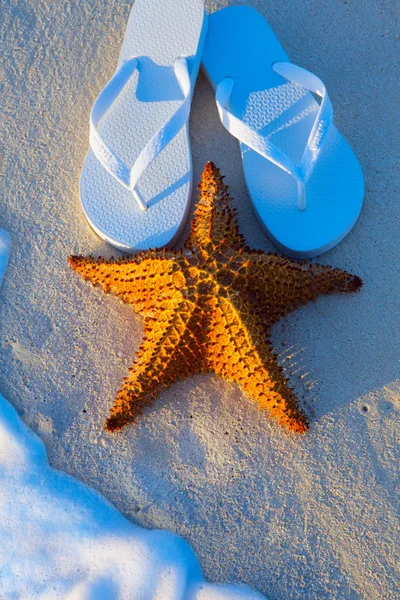 芸術の夏の休日海ビーチの背景 — ストック写真