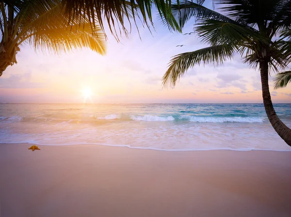 Arte Bella alba sulla spiaggia tropicale — Foto Stock