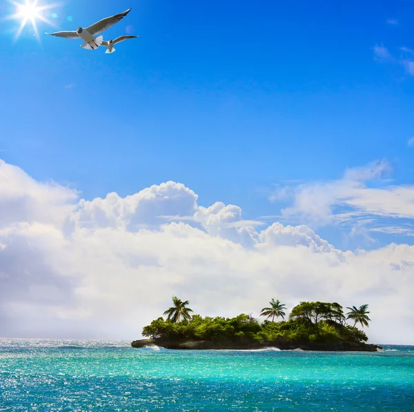 Arte hermosa isla tropical — Foto de Stock