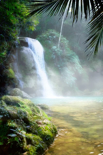 Cascata d'arte in una fitta foresta pluviale tropicale — Foto Stock