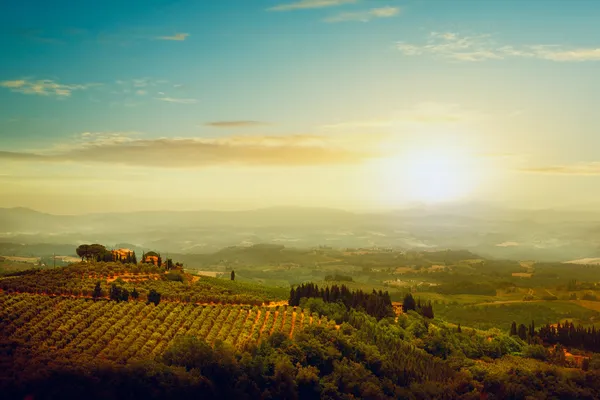 Villa tradicional na Toscana, famosa vinha na Itália — Fotografia de Stock