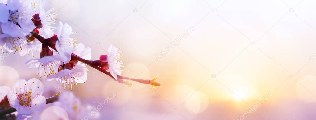 Art beautiful Spring flower background; Easter landscap