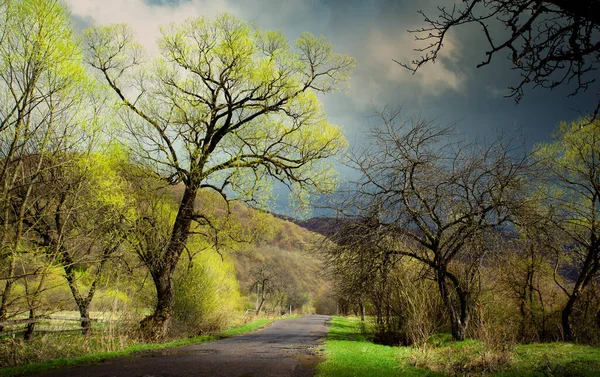 Kunst Ländliche Landschaft Frühlingslandschaft Mit Frühlingsbäumen Und Leerer Landstraße — Stockfoto