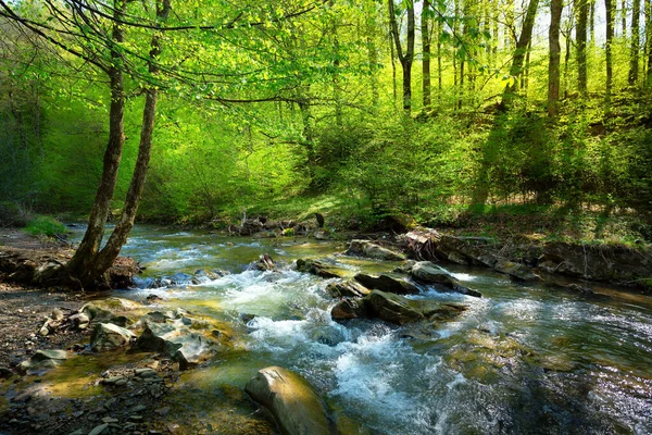 Spring Nature Landscape Mountain Forest River Rock — Stockfoto