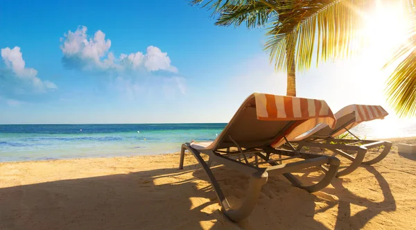 热带海滩上美丽的日出 天堂的暑假 热带平房的日光浴 — 图库照片