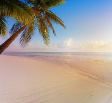 Sanat yaz tatili afişi; Tropikal sahilde mutlu tatiller