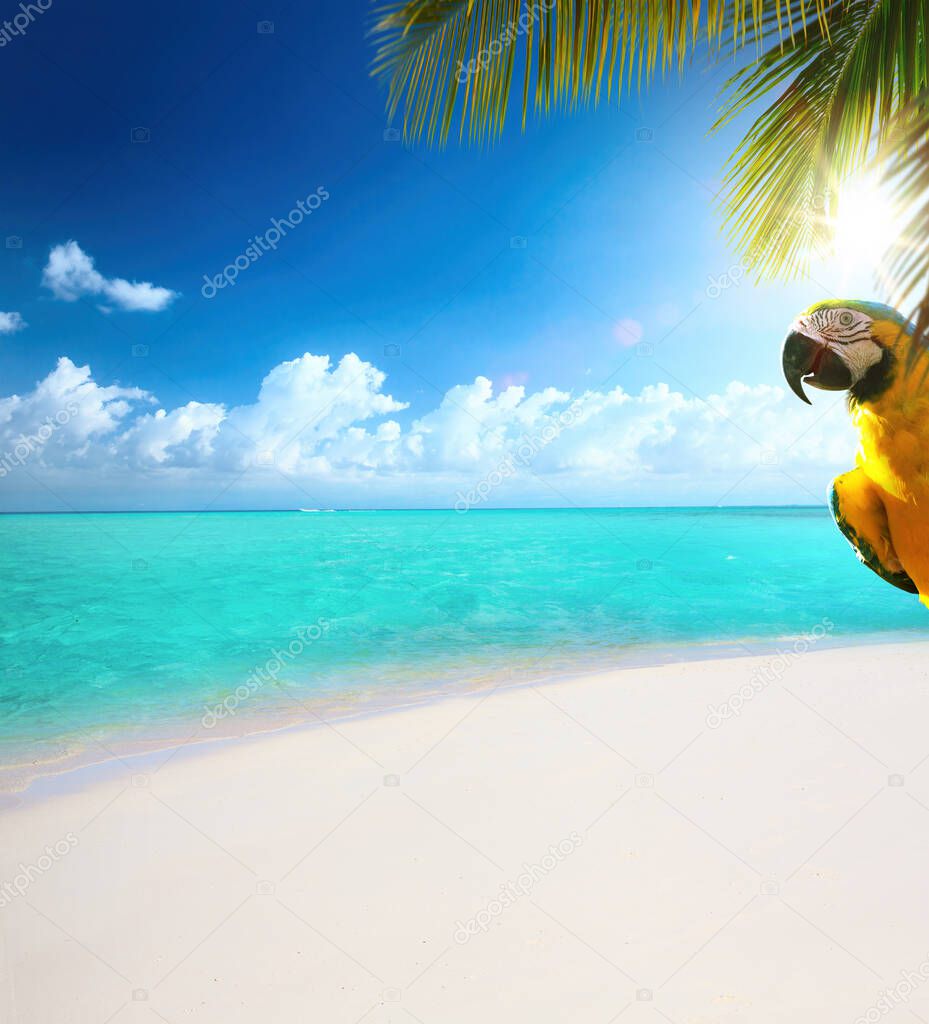 Art beautiful summer tropical holiday background; suny sandy beach, palm tree and blue sea sk