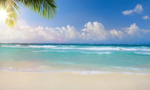 Kunst Schönen Sommer Tropischen Urlaub Hintergrund Sonnigen Sandstrand Palme Und — Stockfoto