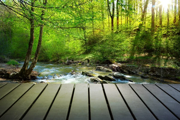 Arte Mesa Madera Vacía Sobre Fondo Verde Del Bosque Mockup —  Fotos de Stock