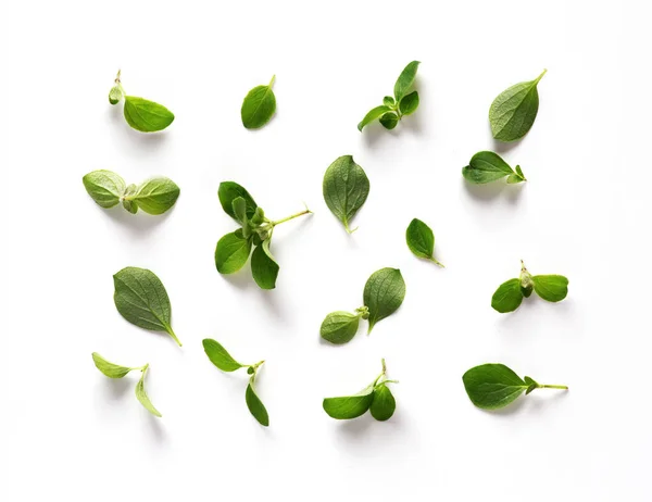 Food Cooking Banner Background Spices Herbs Variety Fresh Thyme Mediterranean — Stock Fotó