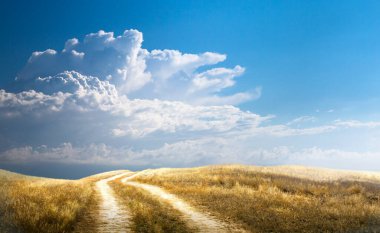 Panorama of autumn field with dirt road and cloudy sky. Autumn rural landscape