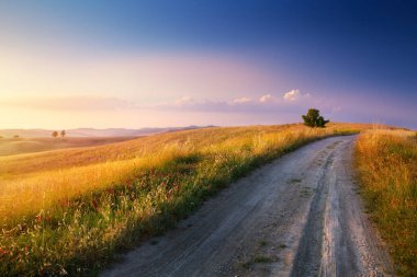 Autumn Italian rural landscape in retro style; Panorama of autumn field with dirt road and cloudy sky.