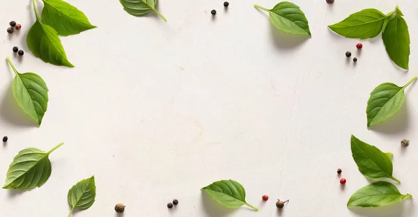 background for a blog about cooking and delicious food. Spices and herbs. Fresh basil mediterranean spice herbs.