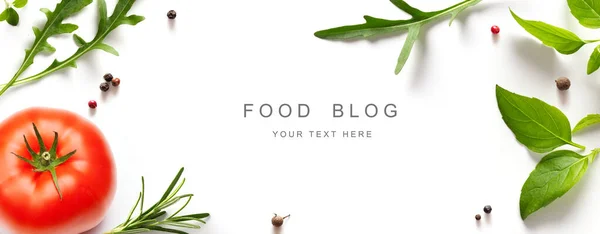 Fűszerek Gyógynövények Fehér Alapon Különböző Fűszerek Mediterrán Gyógynövények Élelmiszer Blog — Stock Fotó