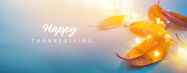 Art Happy Thanksgiving Banner Design Autumn Yellow Leaves Festive Lights — Stock Photo, Image