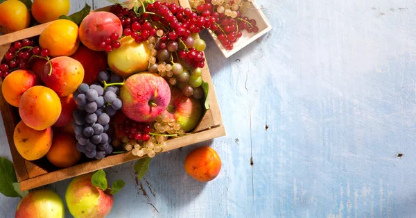 Świeże Owoce Wiejskie Drewnianym Pudełku Jabłka Jagody Winogrona Morele Widok — Zdjęcie stockowe