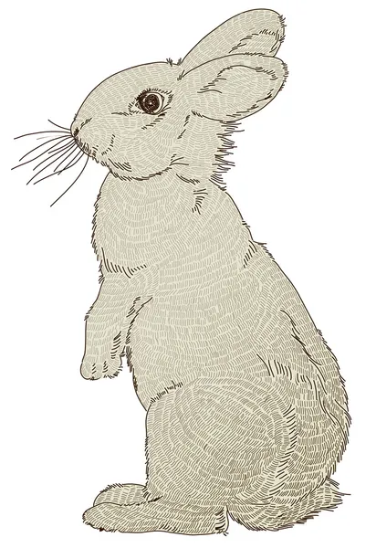 Кролик — стоковий вектор