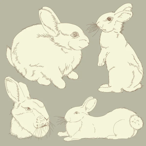 Кролики — стоковий вектор