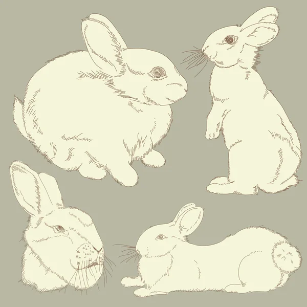 153 Four rabbits Vector Images, Four rabbits Illustrations | Depositphotos